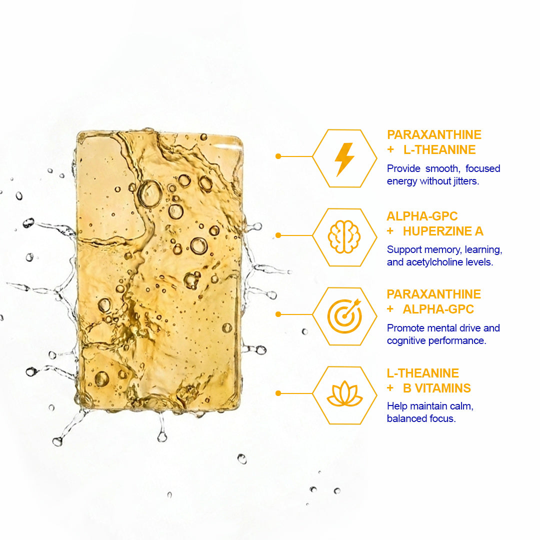 Melts™ Brain Fuel Strips | Focus, Clarity & Mental Energy