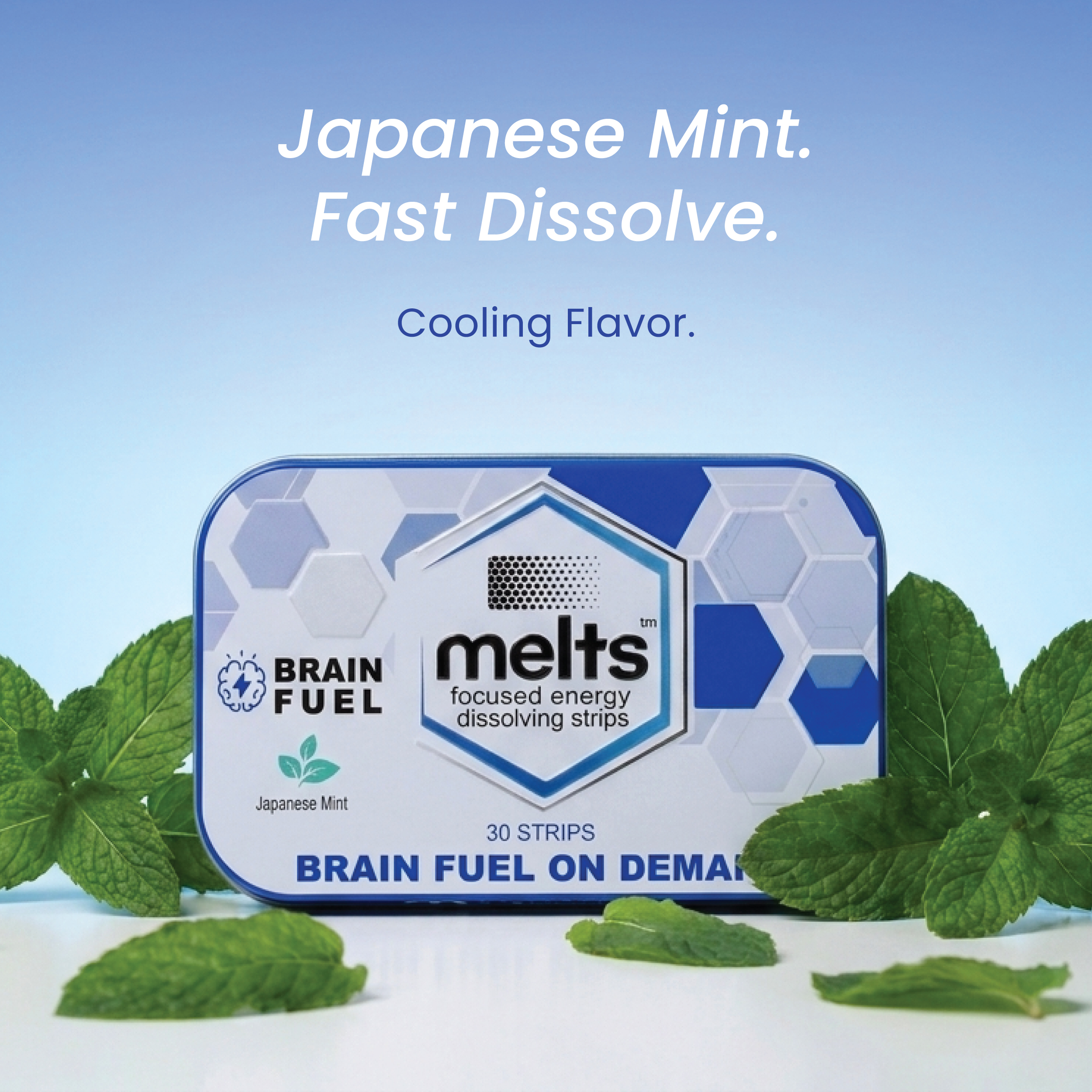 Brain Fuel